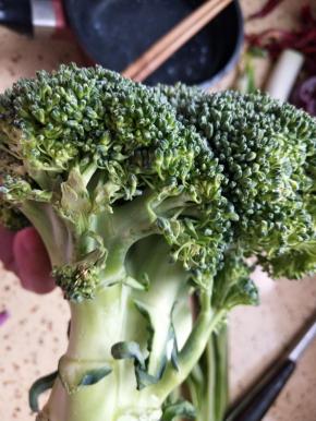 西兰花切成小朵