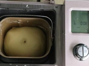 发酵至两倍大戳洞不回缩。