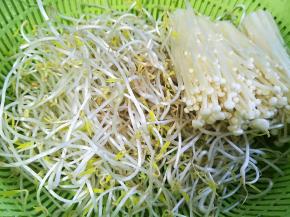 准备适量的豆芽金针菇洗干净