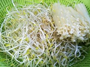 准备适量的豆芽金针菇洗干净
