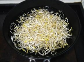 豆芽也是烫熟捞起来