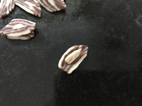 取一面片切面朝上，放上一个瓜子仁。