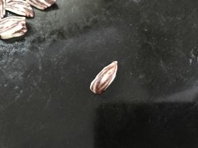 捏紧两侧后再捏出瓜子形状。