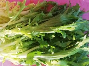 苦菊洗干净切段备用