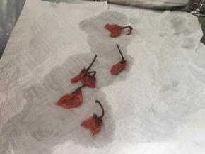 用厨房纸将樱花上水分稍印干