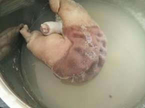 猪肚反复冲洗干净，放到高压锅炖12分钟。