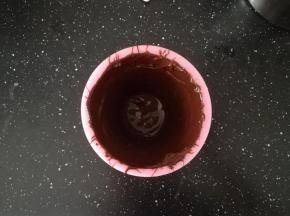 然后倒入模具中，旋转，均匀的挂满四壁，放入冰箱冷藏。