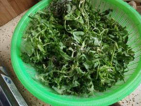 荠菜清洗干净
