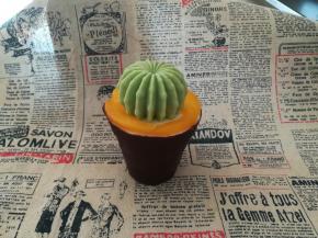 用点黄桃片装饰一下。用奥利奥碎更好啦！更逼真。