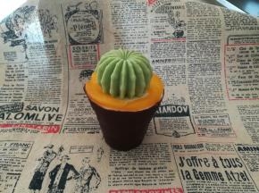 用点黄桃片装饰一下。用奥利奥碎更好啦！更逼真。