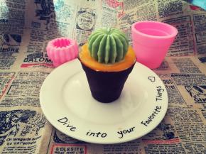 仙人球来一个嘛？