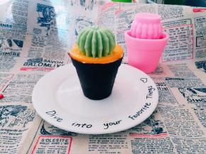 如意坊仙人球硅胶模真的好用。