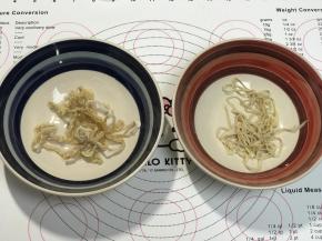 处理肠衣，反复洗干净表面的盐粒，浸泡20分钟，肠衣浸泡到位，弹性非常好的时候，把肠衣的一端套在水龙头上，打开水龙头，把肠衣中间也冲洗一下，也可以顺便检查，肠衣是否有破损的