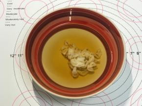 给肠衣去腥，可以选择白酒 料酒 醋，都可以去腥，水和酒类是1比1即可，或者随意倒一些，个人认为，酒类去腥不如醋，如果你能受的了醋的味道，醋其实去腥效果比酒要好一些，然后浸泡20分钟