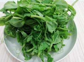 准备豌豆苗