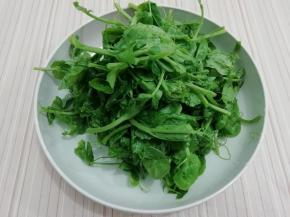 豌豆苗先用水浸泡一会，然后用水冲洗干净