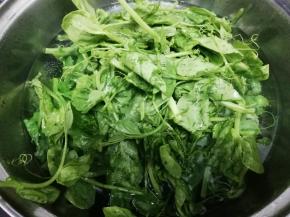 汤锅里加入水，少许油和盐烧开，在把洗干净的豌豆苗放入焯水三分钟
