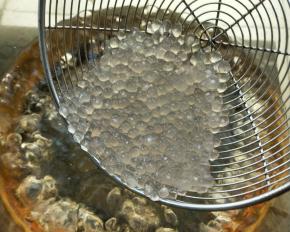 再次放入一升烧开的清水锅中。