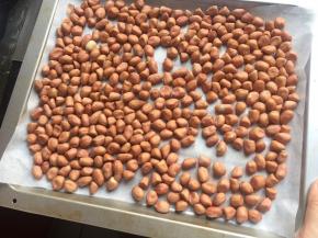 我用的生花生，铺入烤盘