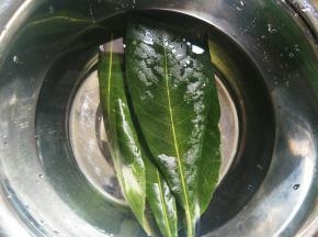 枇杷叶放水里泡15分钟左右