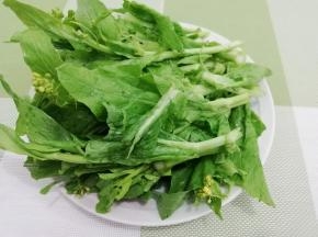 买回来的菜用水浸泡一会，然后用水洗干净