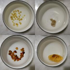 皂角米、雪燕、桃胶、银耳提前用水浸泡过夜，中间换水2次。