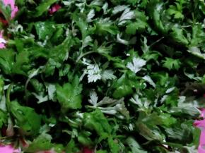 艾草取叶去梗。