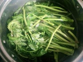 在水里烫一下捞出