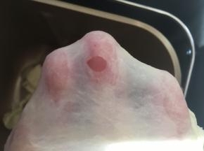 揉好的面团可以撑出手套膜，破洞处边缘呈光滑状态