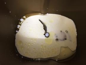 先做中种面团
主料里的全蛋液，牛奶，淡奶油，玉米油放入面包桶里