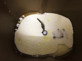 先做中种面团
主料里的全蛋液，牛奶，淡奶油，玉米油放入面包桶里