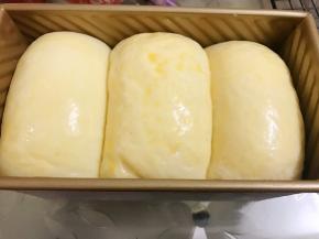 表面刷上全蛋液