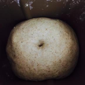 发酵至两倍大，戳动不回缩。