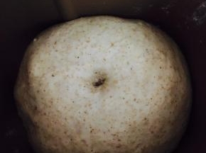 发酵至两倍大，戳动不回缩。