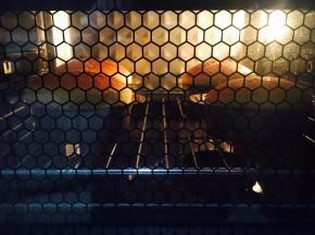 乳酪蛋糕不同于戚风，涨高后会回落到和原有蛋糊差不多高度，但口感是杠杠的！