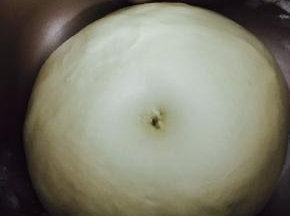 发酵至2倍大，戳洞不回缩。