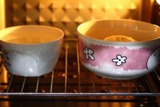 揉好的面图进入烤箱发酵程序40分钟,可以放一碗热开水,帮助发酵(因为没有糖,所以发酵会慢一些,时间也会相对长一些,)