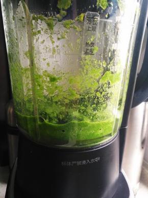 将鼠曲草放入破壁机搅碎