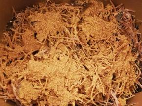 全部撕完，倒入面包机，放入剪碎的海棠，撒一点五香粉