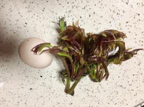 准备所需食材