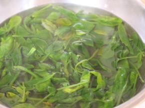 菠菜洗干净用热水烫一烫