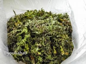 新鲜的荠菜，要一根一根的择掉老叶去掉老根须，清水浸泡后清洗干净。