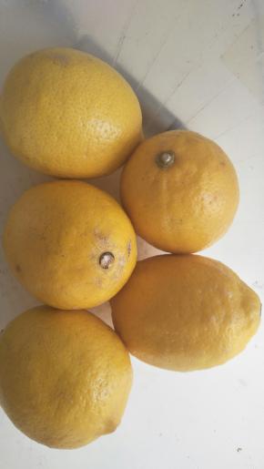 清洗柠檬并晾干水分，切成薄片。