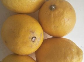 清洗柠檬并晾干水分，切成薄片。