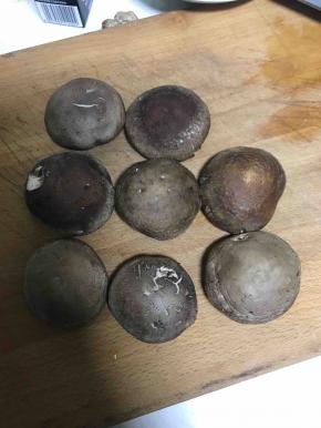 选大小差不多的香菇