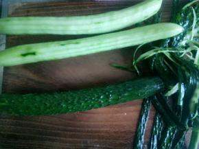 刨丝刀去掉外皮