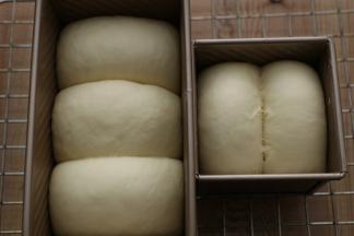 发酵至七分的状态即可。