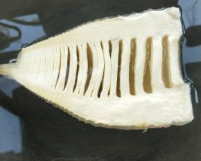 笋体肥大的春笋取半个，入冷水中煮沸三分钟，捞出放凉水中浸泡。