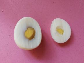 鸡蛋纵向切三分之一下来