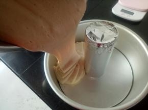 倒入模具中